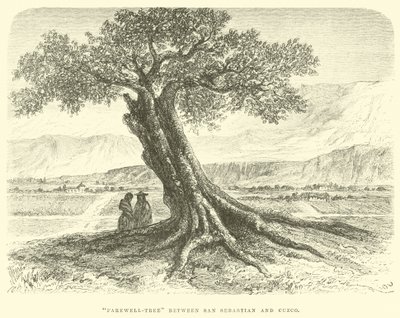 Abschiedsbaum zwischen San Sebastian und Cuzco von Edouard Riou
